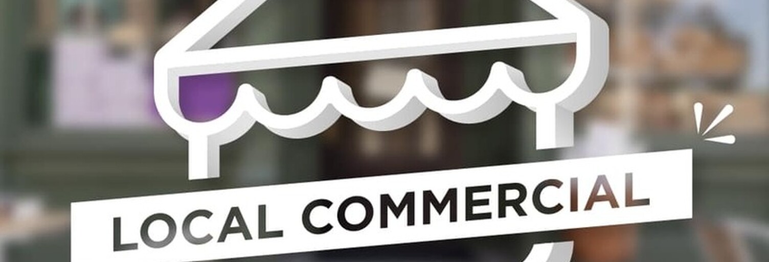 Commerce 6 Pièces 300 m² à vendre à Saint-Cyr-sur-Loire (37540)