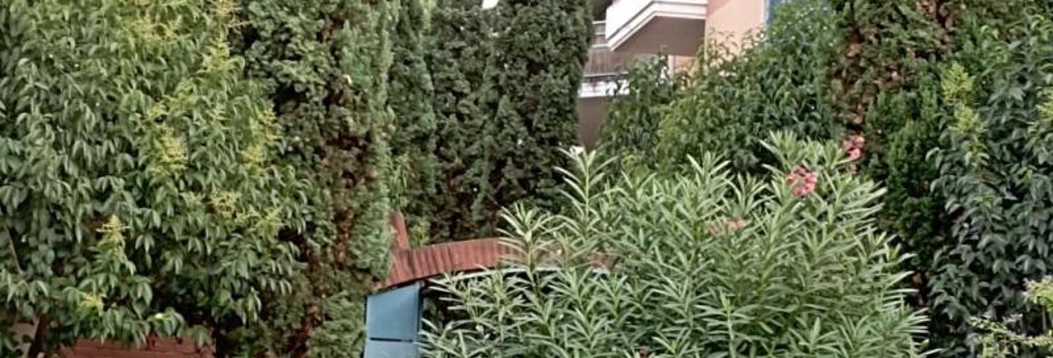 Appartement 1 Pièce 24 m² à louer à Toulouse (31000)