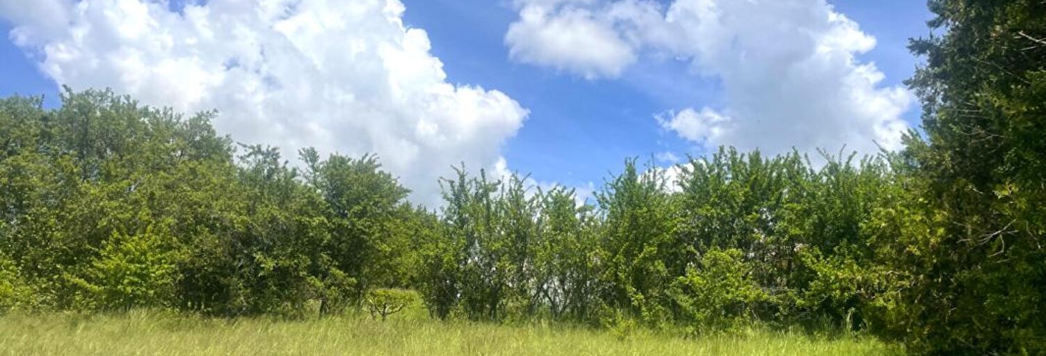 Terrain  989 m² à vendre à Saint-Lions (04330)