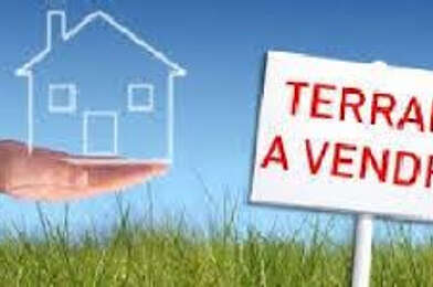 Terrain  80000 €