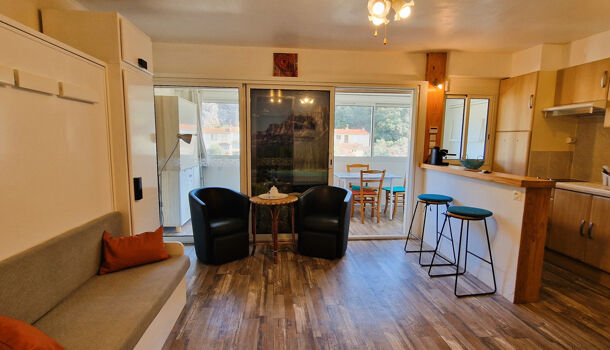 Appartement 1 pièces  à louer Amélie-les-Bains-Palalda 66110