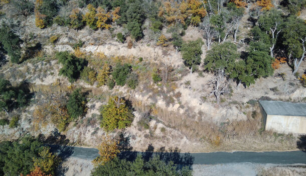 Terrain  à vendre Arles-sur-Tech 66150