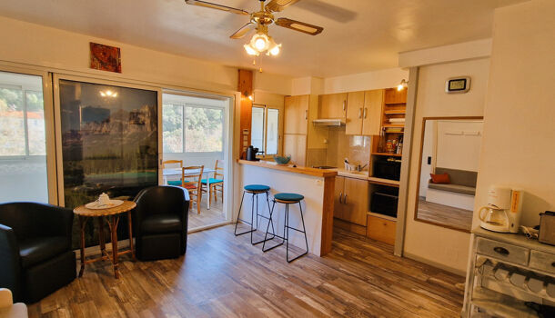 Appartement 1 pièces  à louer Amélie-les-Bains-Palalda 66110