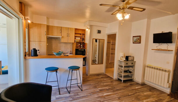 Appartement 1 pièces  à louer Amélie-les-Bains-Palalda 66110