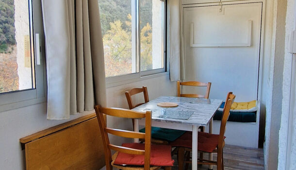 Appartement 1 pièces  à louer Amélie-les-Bains-Palalda 66110