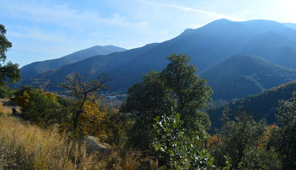 Terrain  à vendre Arles-sur-Tech 66150