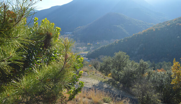 Terrain  à vendre Arles-sur-Tech 66150