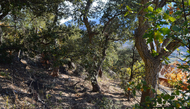 Terrain  à vendre Arles-sur-Tech 66150