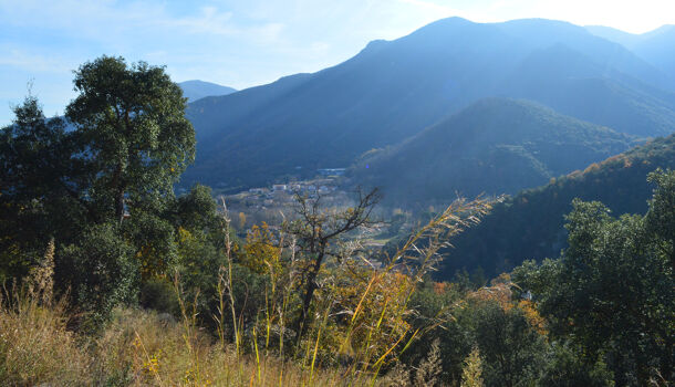 Terrain  à vendre Arles-sur-Tech 66150