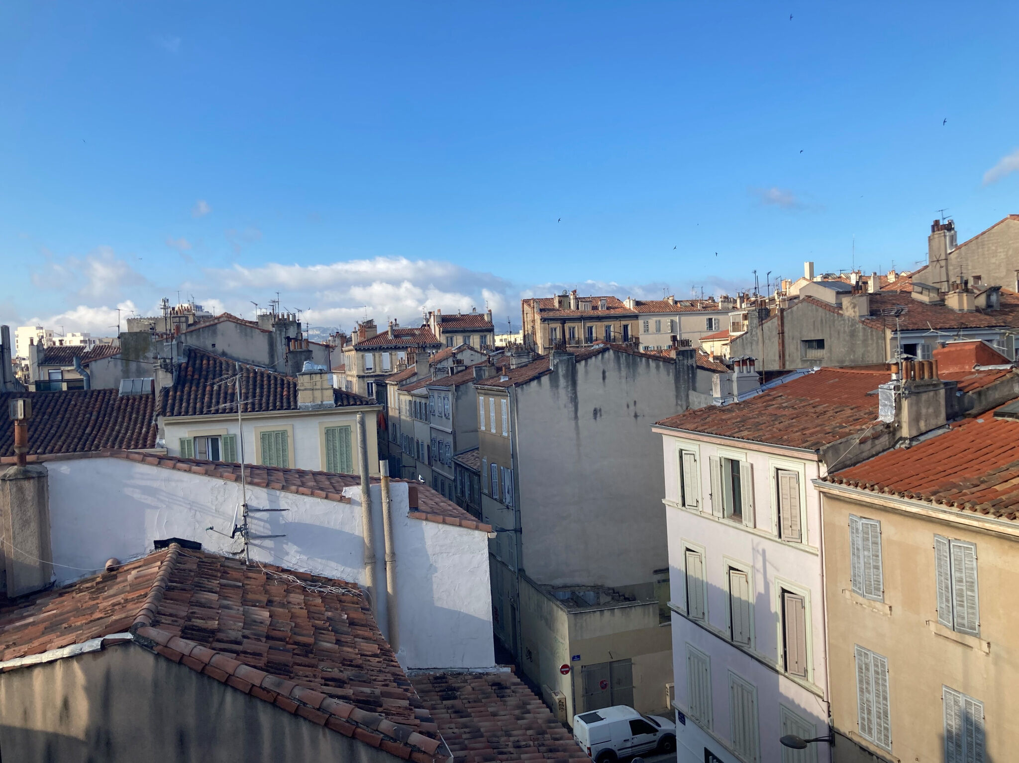 Appartement  T2 à louer Marseille 6eme 13006