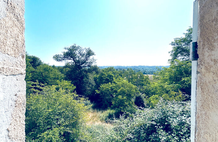 A VENDRE MAISON EN PIERRE AVEC TERRAIN ET ETANG - SECTEUR COUTRAS — photo 2