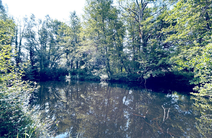 A VENDRE MAISON EN PIERRE AVEC TERRAIN ET ETANG - SECTEUR COUTRAS — photo 3