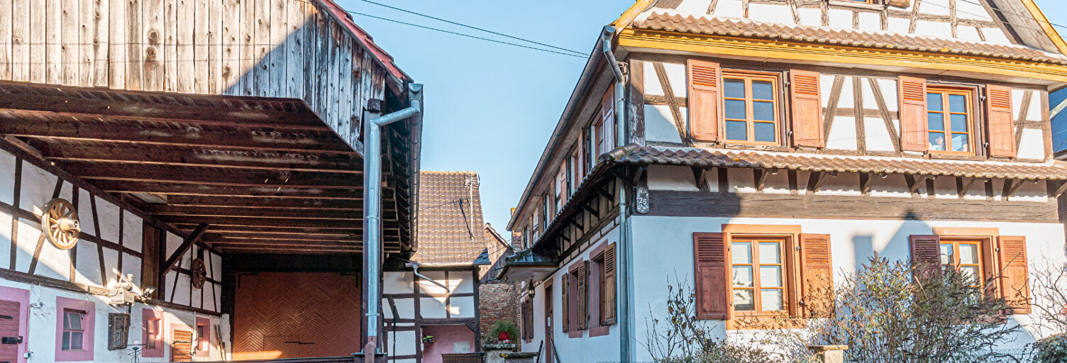 Maison 6 Pièces 140 m² à vendre à Hipsheim (67150)