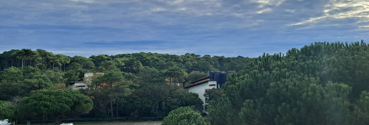 Appartement 2 Pièces 51 m² à vendre à Seignosse (40510)