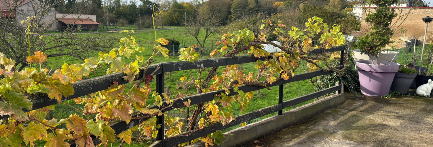 Appartement 2 Pièces 52 m² à louer à Thionville (57100)