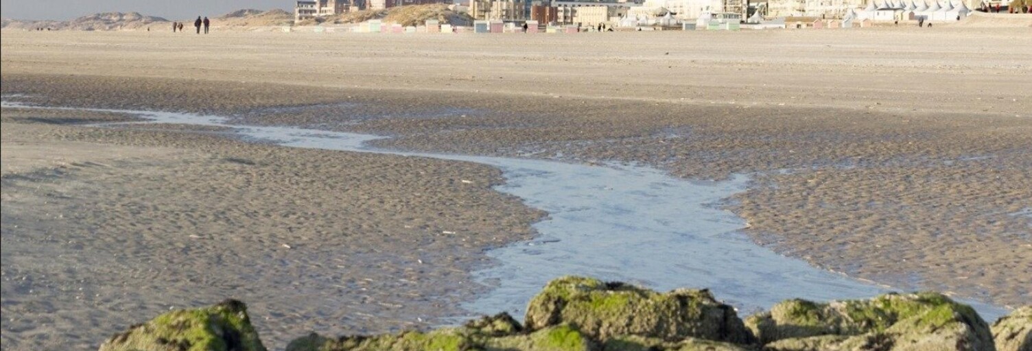 Appartement 1 Pièce 25 m² à vendre à Berck (62600)