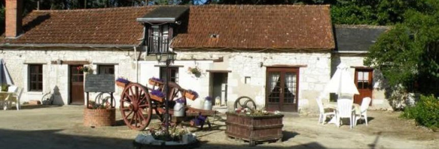 Maison 22 Pièces 442 m² à vendre à Noyant-Villages (49390)