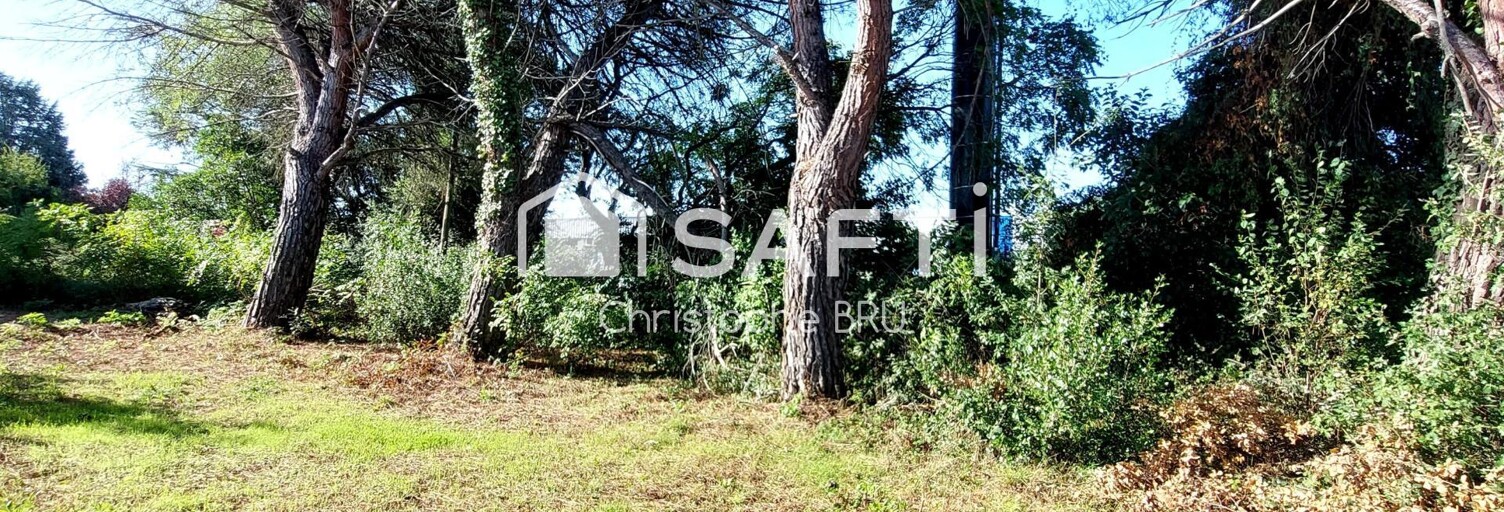 Commerce 1 Pièce 150 m² à vendre à Castanet-Tolosan (31320)