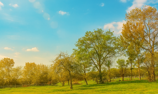 Terrain  700 m² à vendre à La Force (24130)