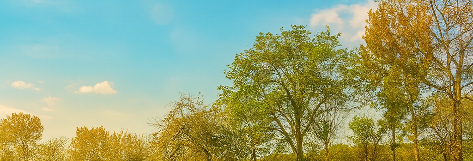 Terrain  700 m² à vendre à La Force (24130)