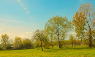 Terrain  700 m² à vendre à La Force (24130)