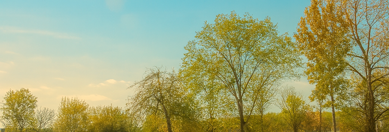 Terrain  700 m² à vendre à La Force (24130)