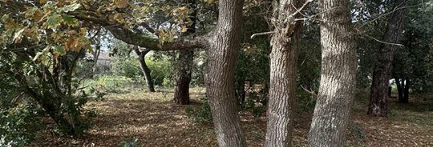 Terrain  565 m² à vendre à Soulac-sur-Mer (33780)