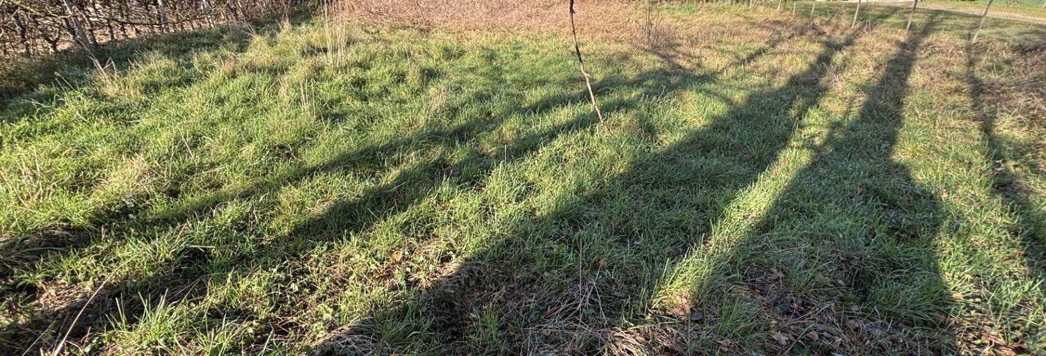 Terrain  2239 m² à vendre à Reyssouze (01190)