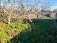 TERRAIN - 1030 m2 — photo 3