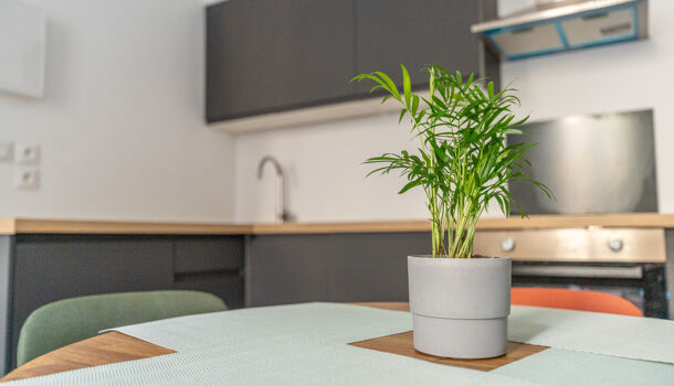 Appartement 2 pièces  à louer Marseille 5eme 13005