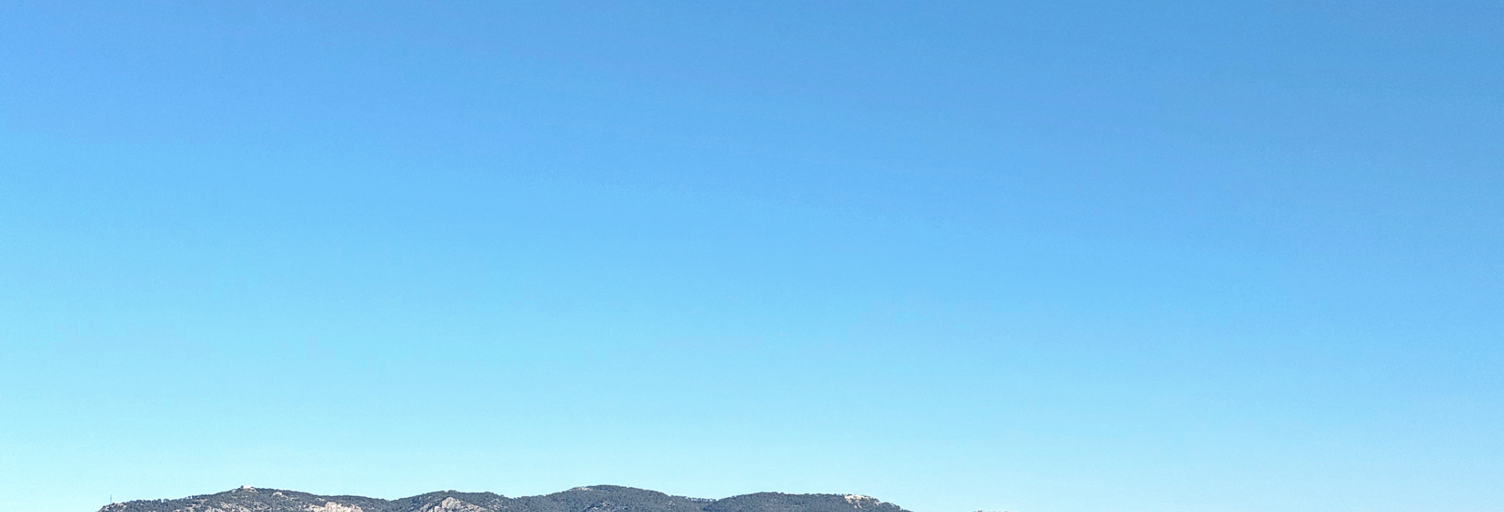 Photo N° 2
