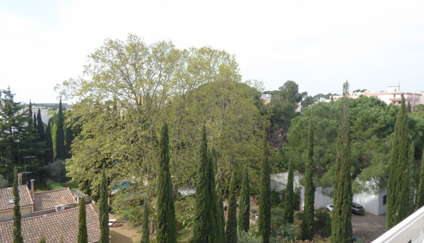 Appartement 3 pièces  à louer Montpellier 34090