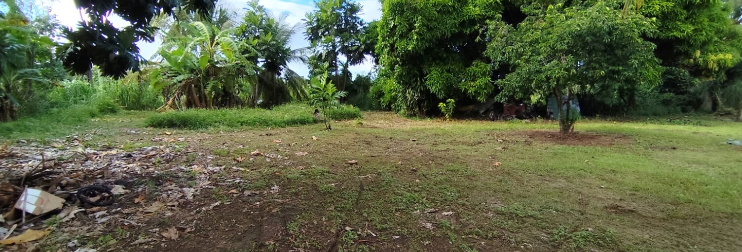 Terrain  852 m² à vendre à Sainte-Rose (97115)