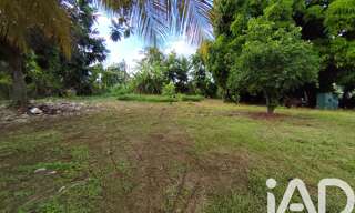 Terrain  550 m² à vendre à Sainte-Rose (97115)