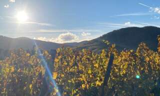 Maison 4 Pièces 88 m² à vendre à Kaysersberg-Vignoble (68240)