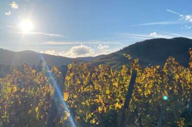 Maison 4 pièces 298000 €