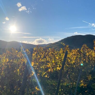 Maison 4 pièces 295000 €