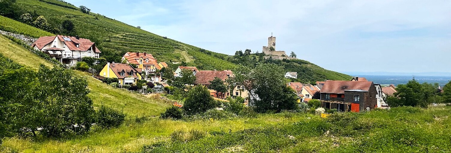 Maison 5 Pièces 105 m² à vendre à Katzenthal (68230)