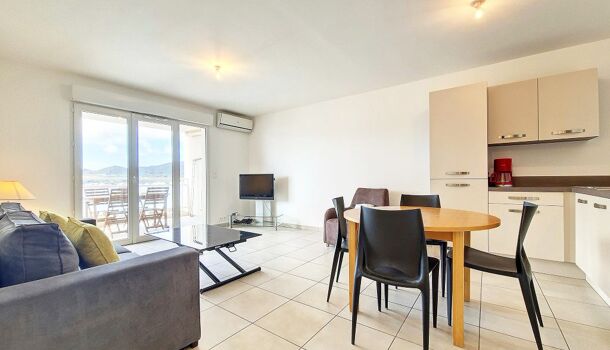 Appartement 2 pièces  à louer Ajaccio 20000