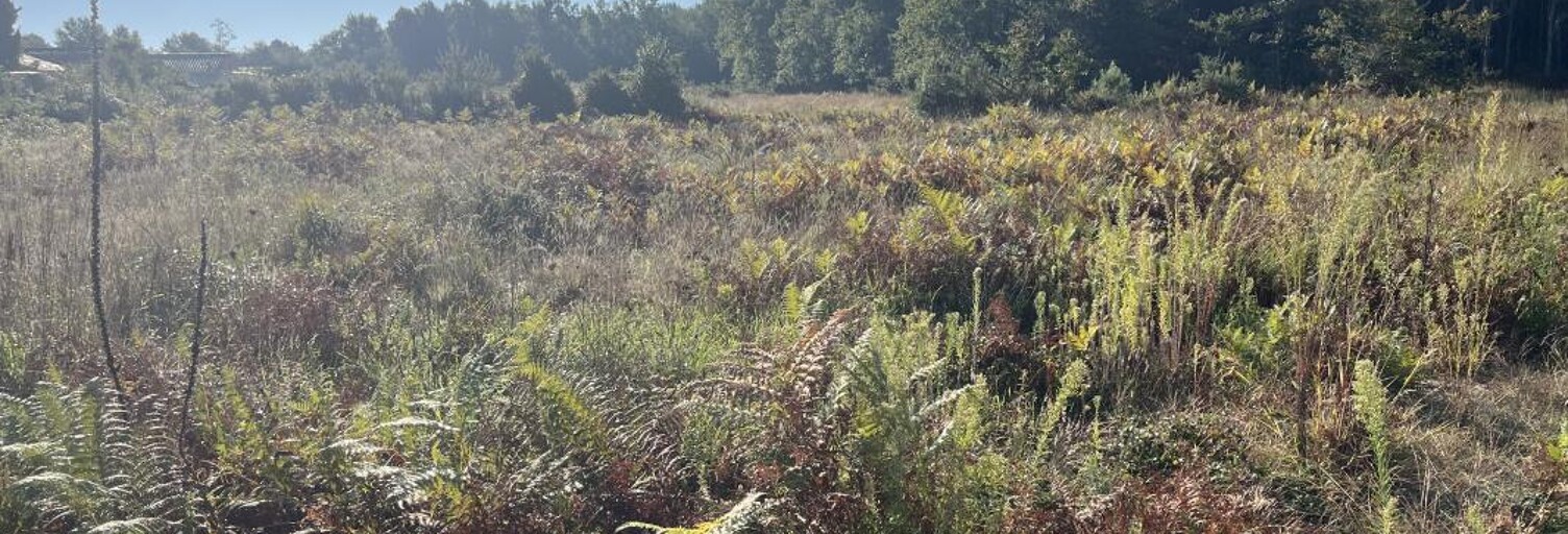 Terrain 760 m² à construire Carcans (33121)