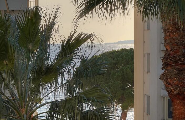SOUS OFFRE ACCEPTÉE - Charmant 2 pièces avec terrasse aperçu mer — photo 4