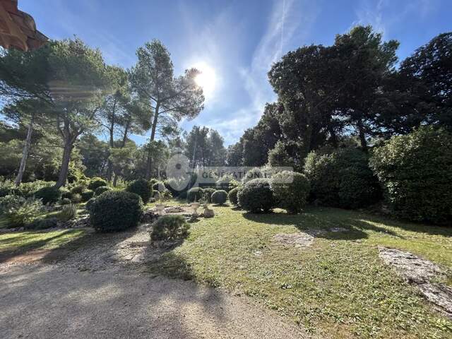 Maison traditionnelle 4 ch avec vue dégagée - Fontvieille — photo du bien