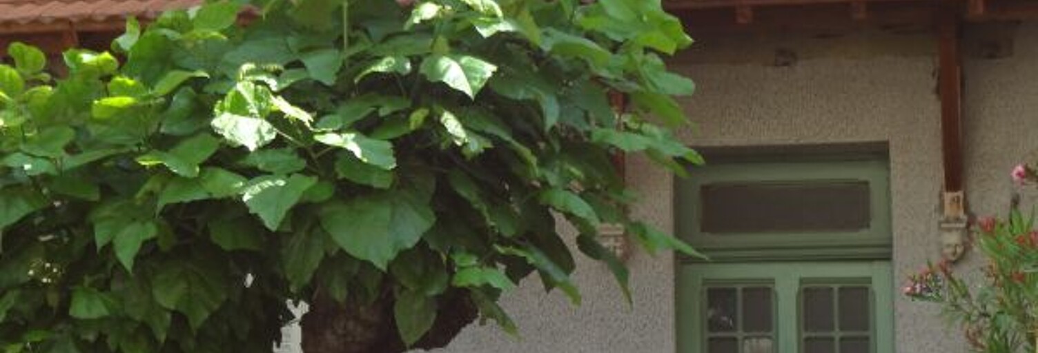 Appartement 2 Pièces 40 m² à louer à Valence (26000)