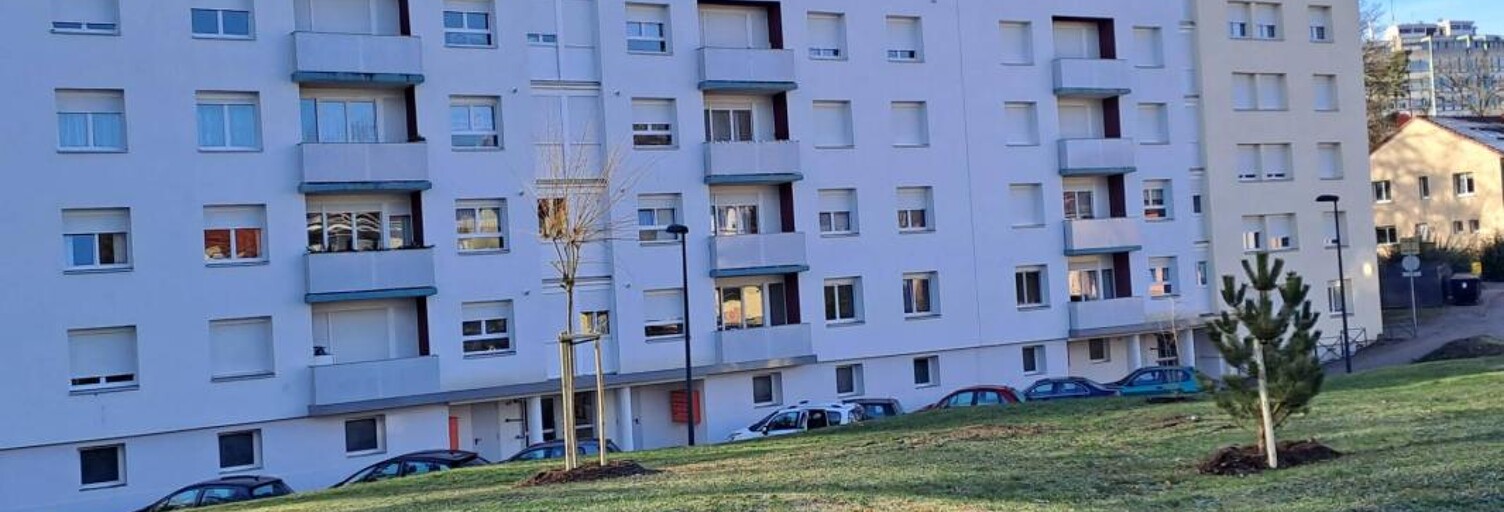 Appartement 3 Pièces 49 m² à louer à Forbach (57600)