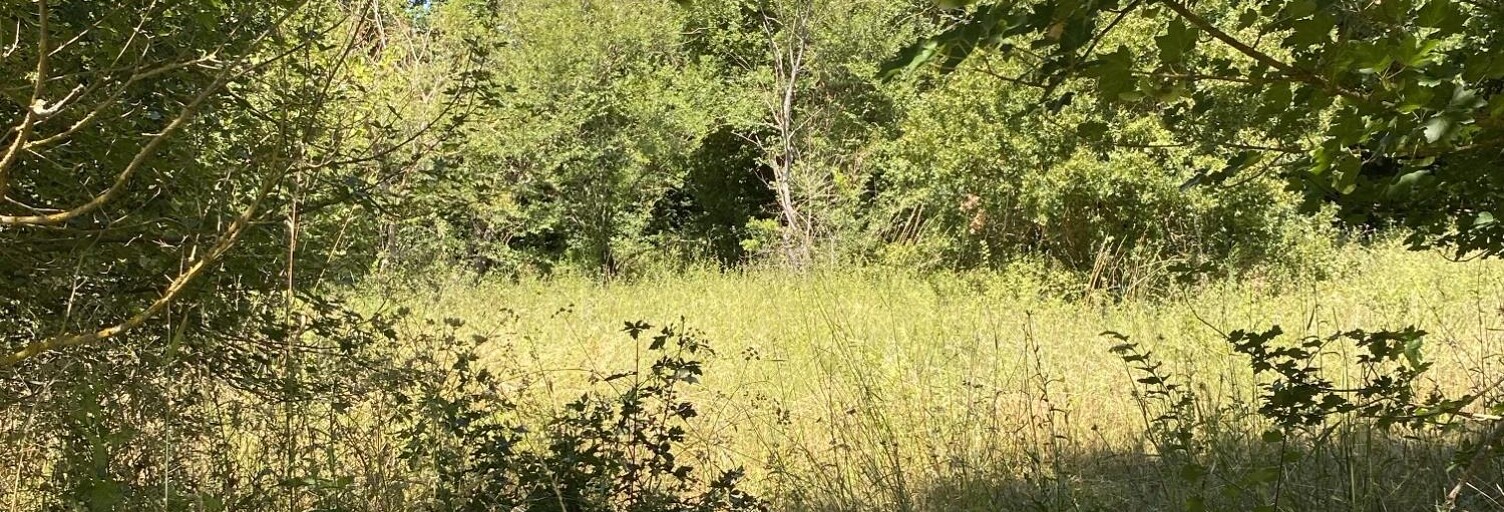 Terrain 1200 m² à construire Jouques (13490)