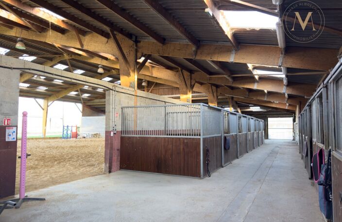 Propriete équestre avec 20ha d’un seul tenant proche de VILLEREAL (47) — photo 5