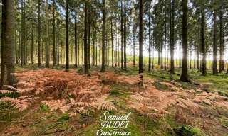 Terrain  863 m² à vendre à Écouves (61250)