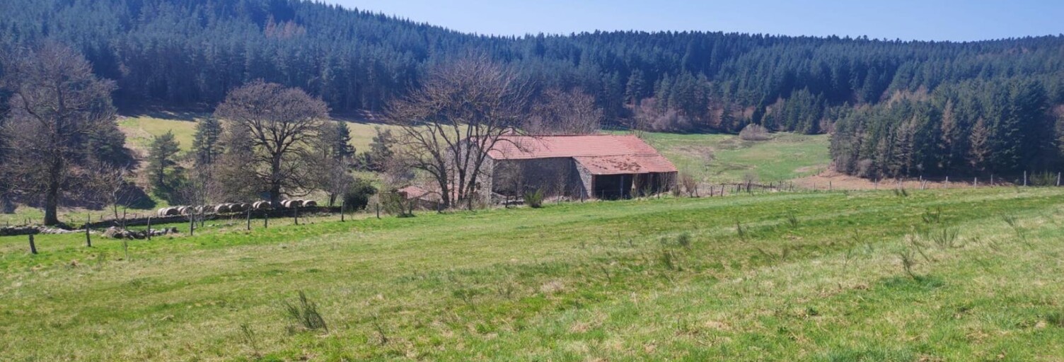 Terrain  1990 m² à vendre à Riotord (43220)