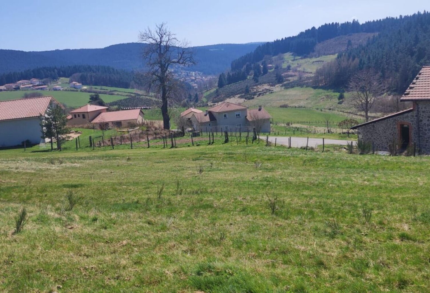 Riotord 43220 parcelle de terrain de 1770 m² dont 1645 m² constructibles prix de vente 52000 — photo 1