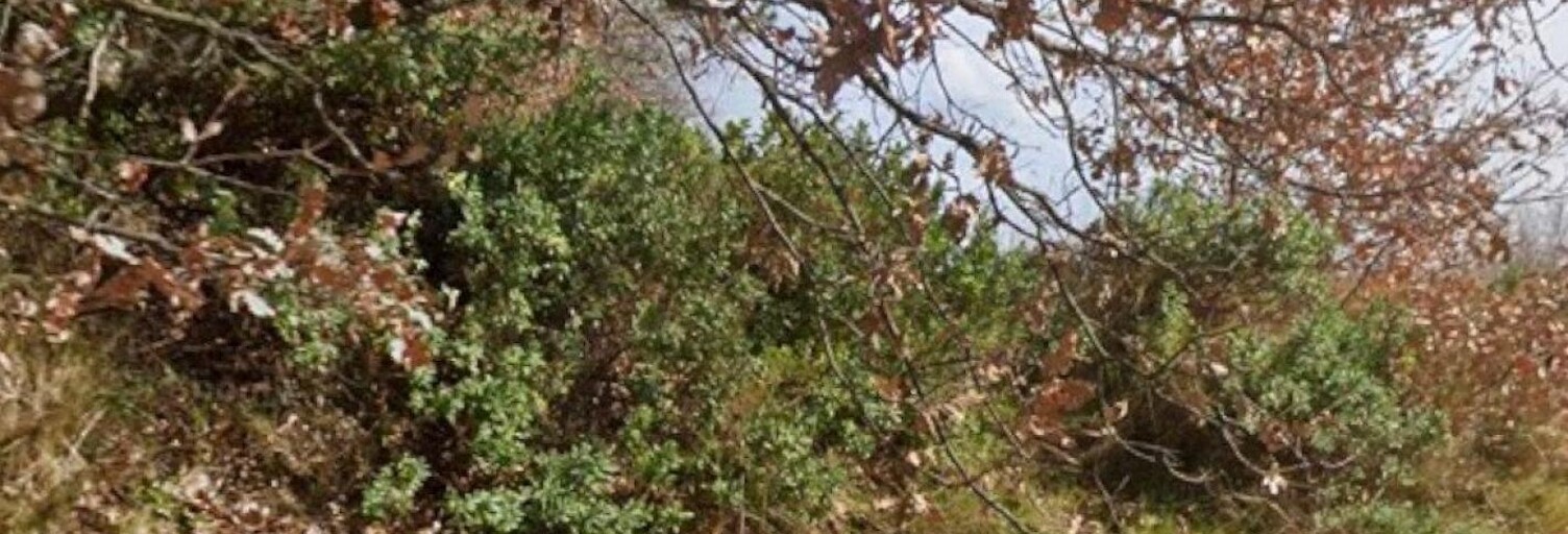 Terrain  2950 m² à vendre à Sabran (30200)